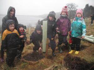 White Rose Forest Tree Planting - Tree2mydoor