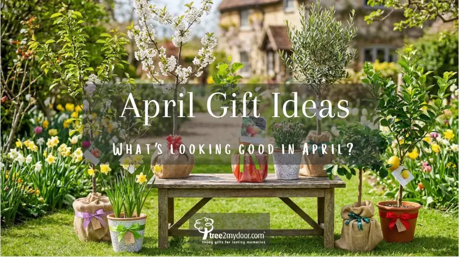 April Gifts Guide