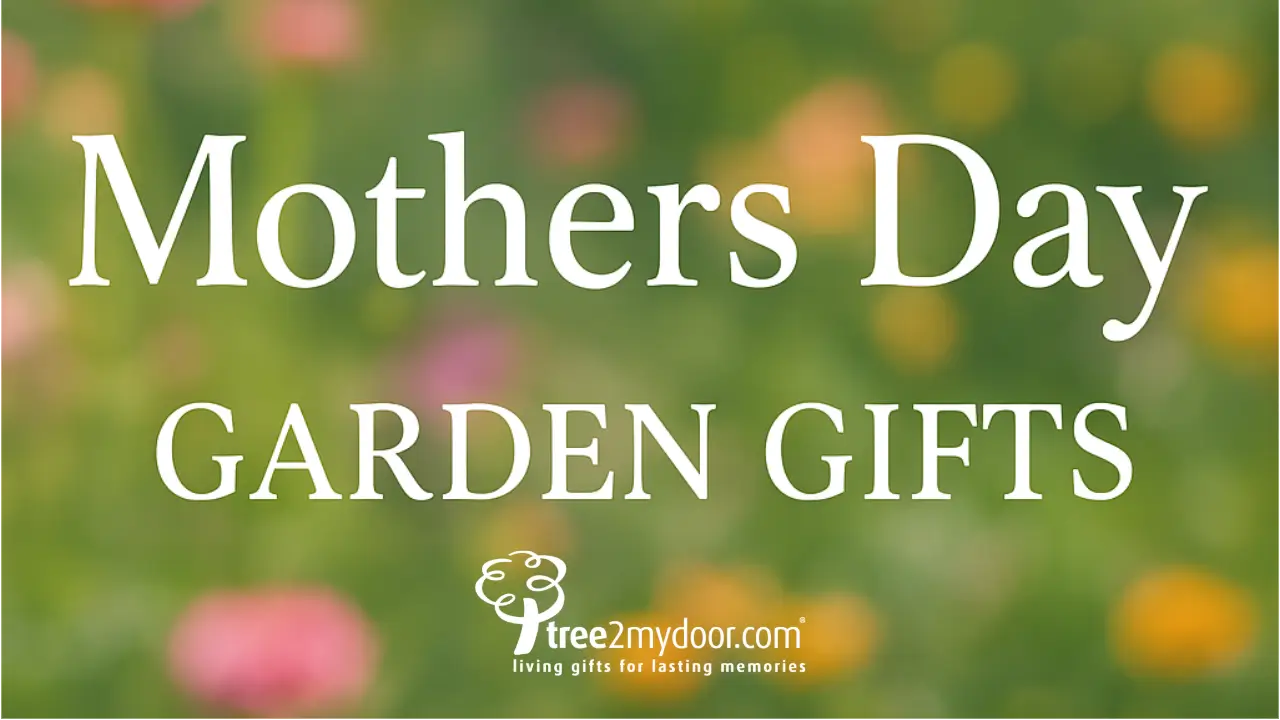 Mothers Day Garden Gifts - blog post