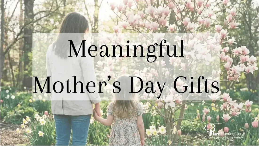 Meaningful Mother's Day Gift Guide