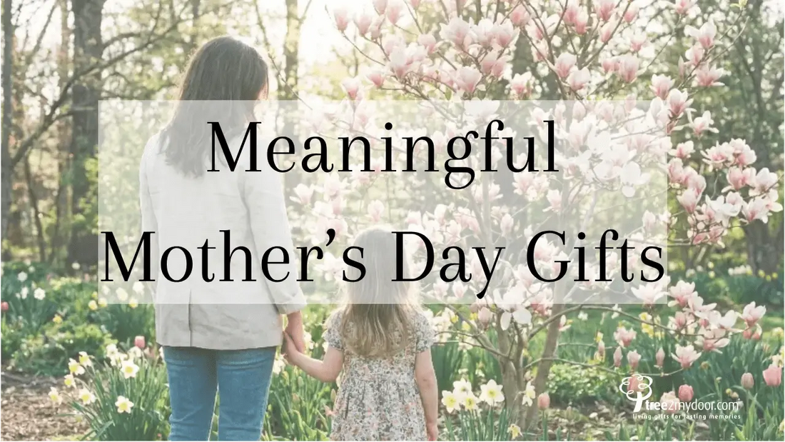 Meaningful Mother's Day Gift Guide