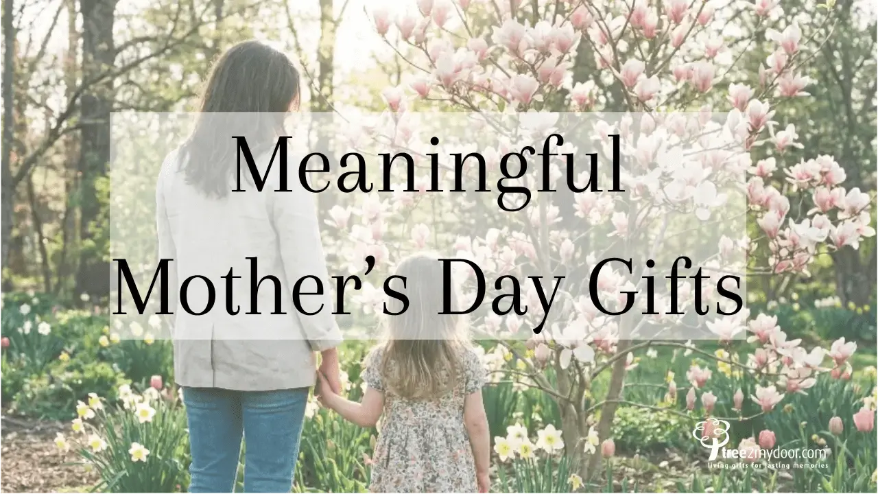 Meaningful Mother's Day Gift Guide