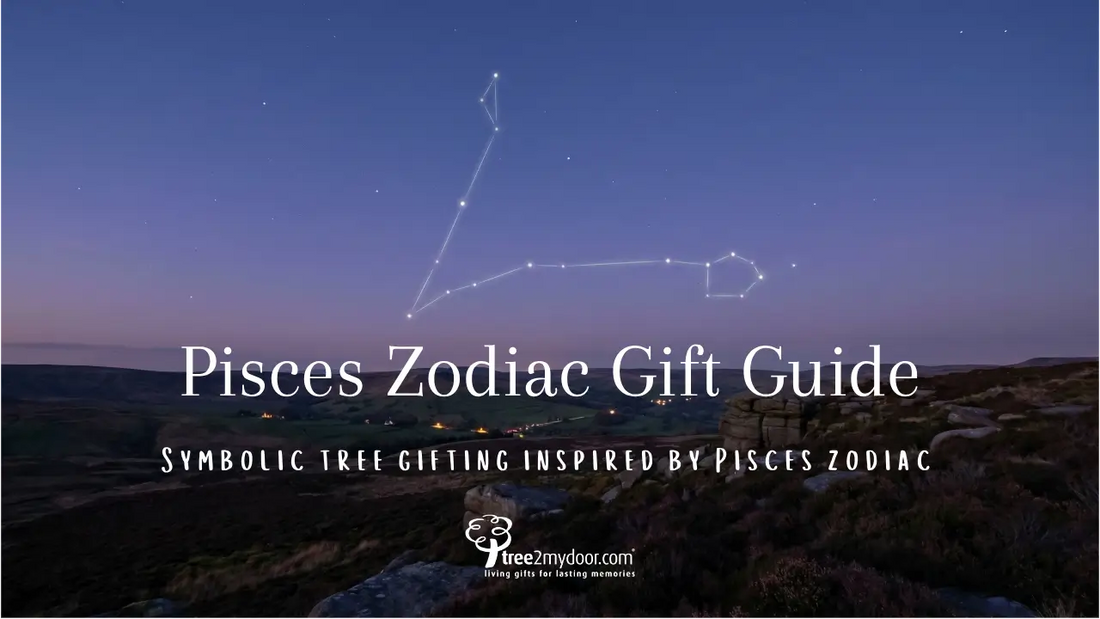 Pices Zodiac Gift Guide