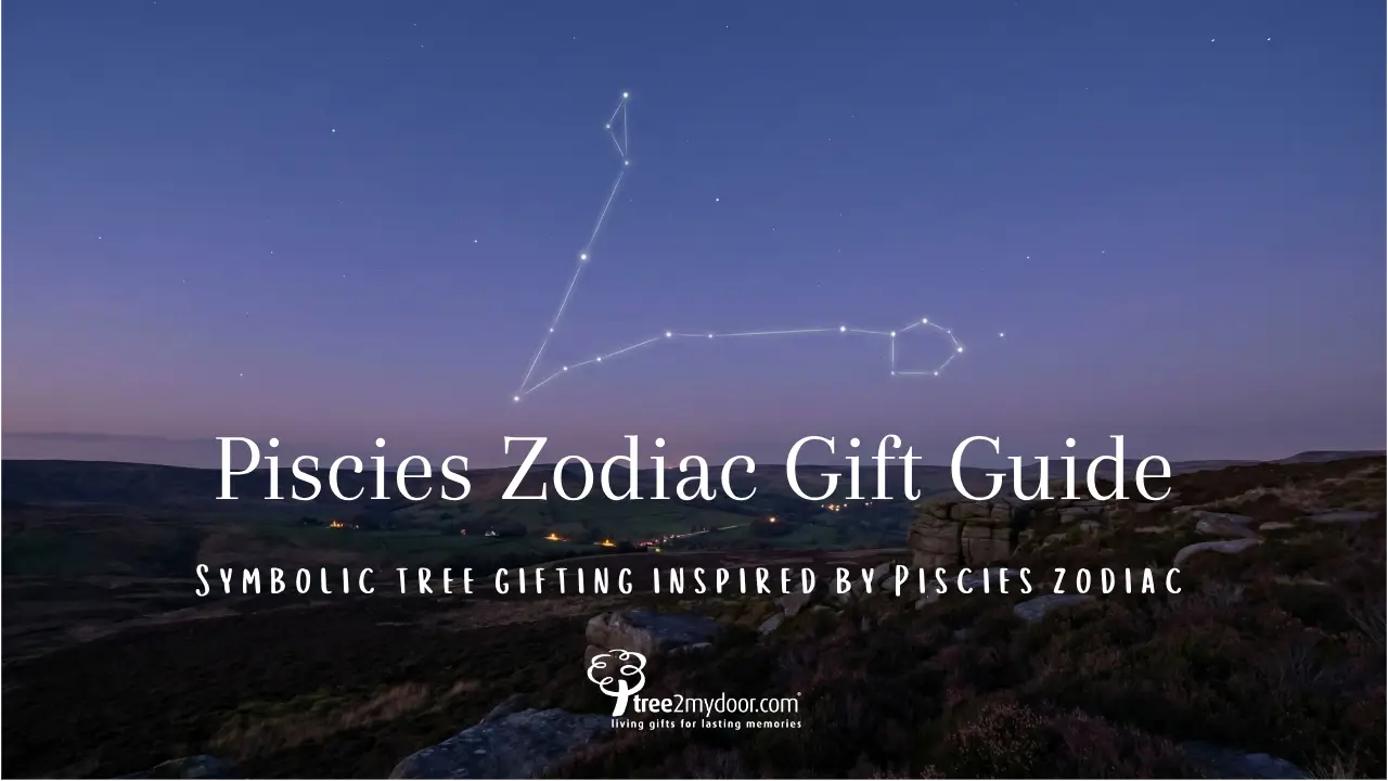 Pisces in the March sky over Peak District moorlands: quiet wonder, grounded in nature.