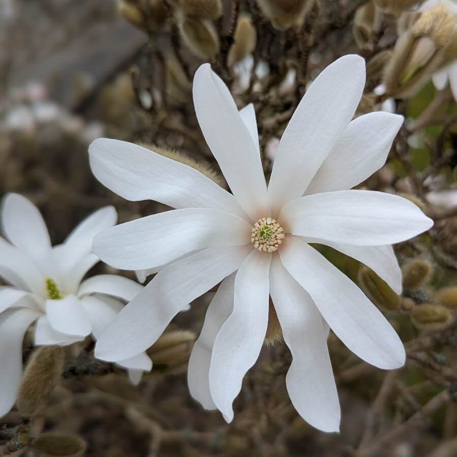 April Gifts Guide - Tree2mydoor