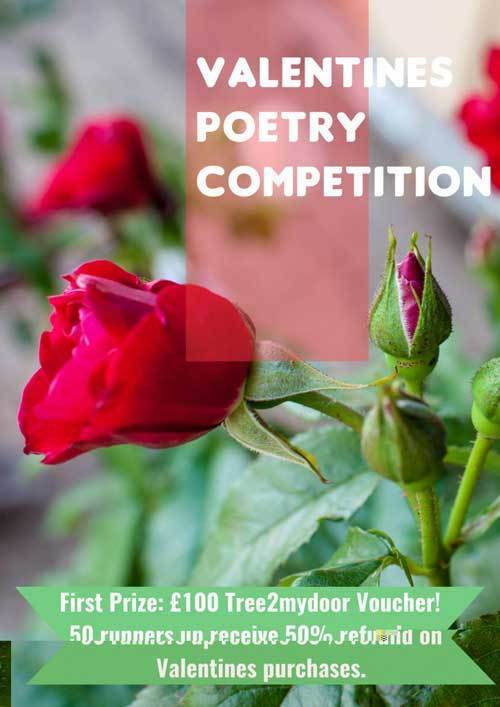 Valentines Day Poetry Competition 2016 - Read Previous Entries - Tree2mydoor