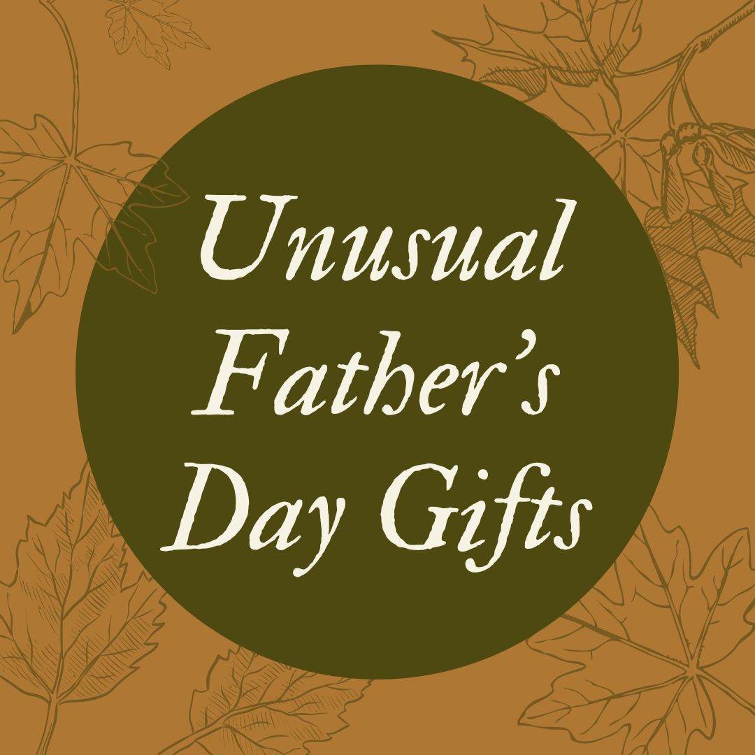 Unusual Father's Day Gifts | Unusual Gifts for Dads - Tree2mydoor