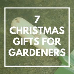 Christmas Gifts for Gardeners