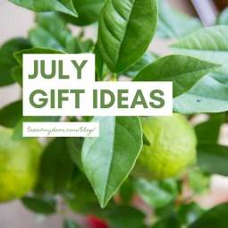 July Gift Ideas - Tree2mydoor
