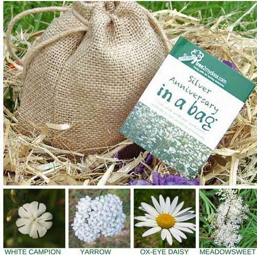 Product Launch: Unique Anniversary Gift Ideas in the Bag! - Tree2mydoor