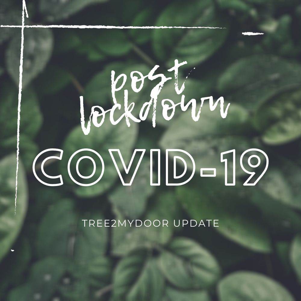 Post COVID Lockdown Update | Tree2mydoor Blog