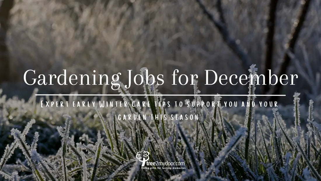 Gardening Jobs for December