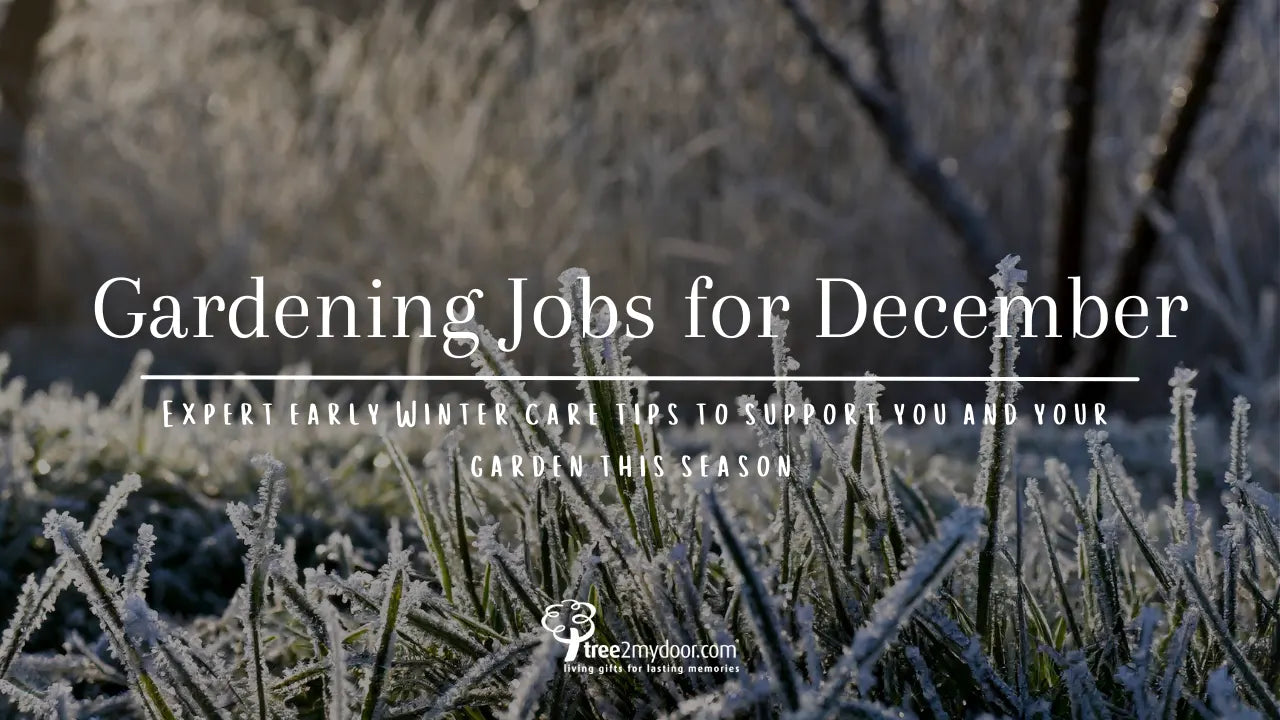 Gardening Jobs for December