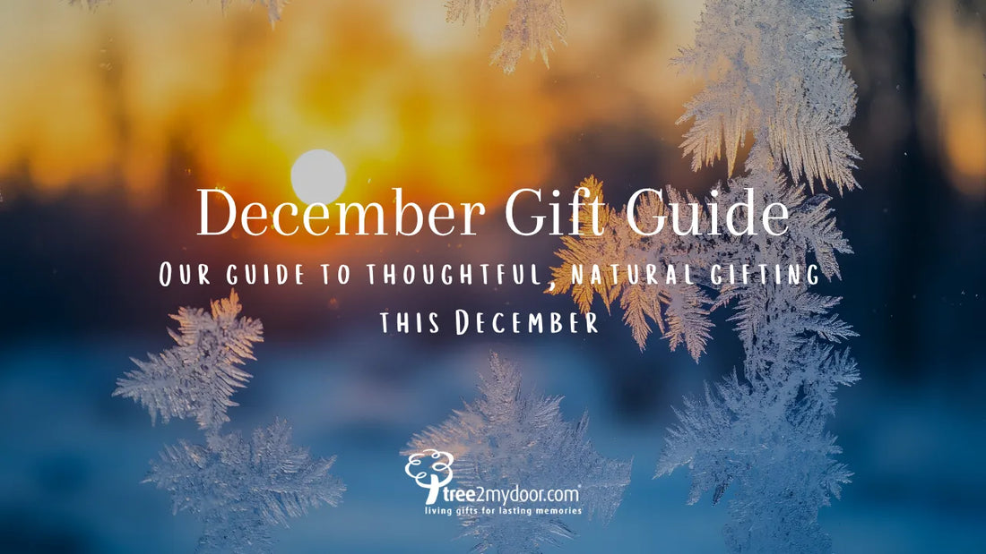 December Gift Ideas | December Gift Guide