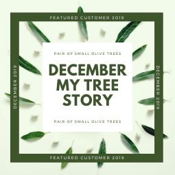 December MyTree Story 2019