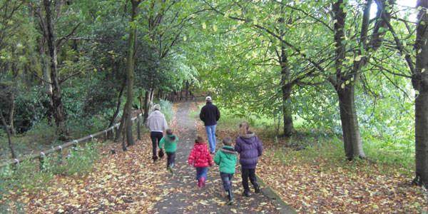 Gardening Jobs for November - Tree2mydoor
