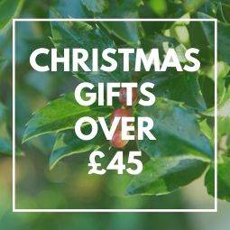 6 Eco-Friendly Christmas Gifts over £45 - Tree2mydoor