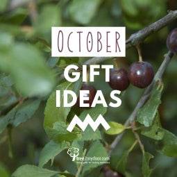 October Gifts Guide - Tree2mydoor