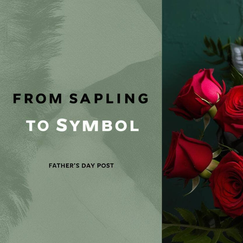 Father's Day Garden Gifts