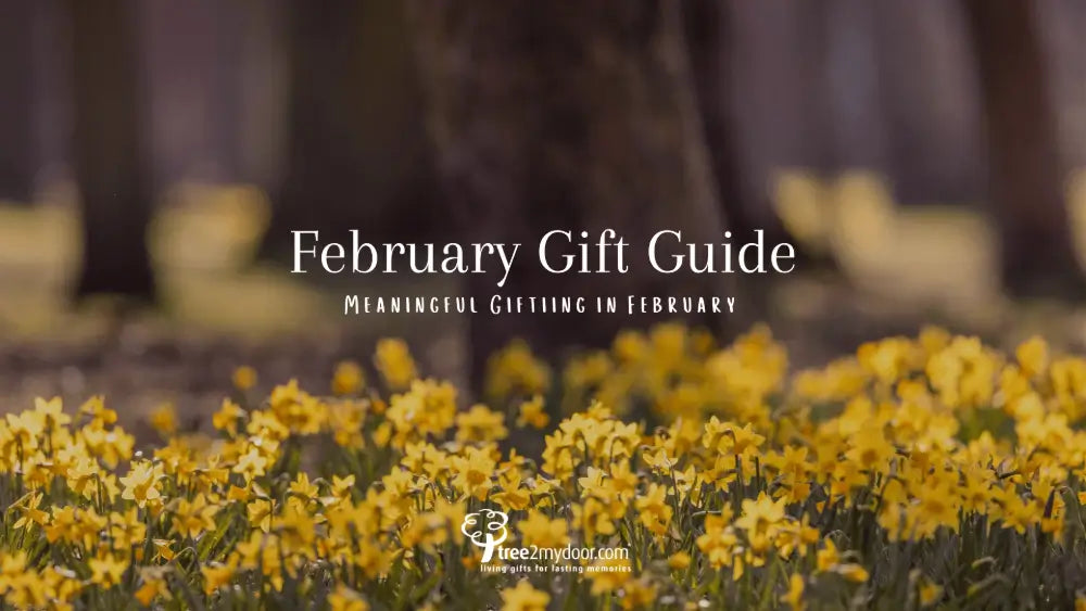 February Gift Guide