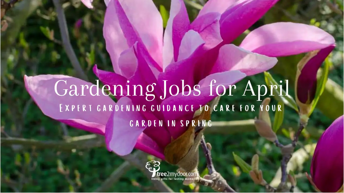 Gardening Jobs for April