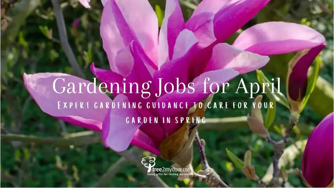Gardening Jobs for April