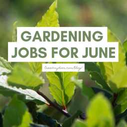Gardening Jobs for June