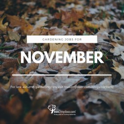 Gardening Jobs for November