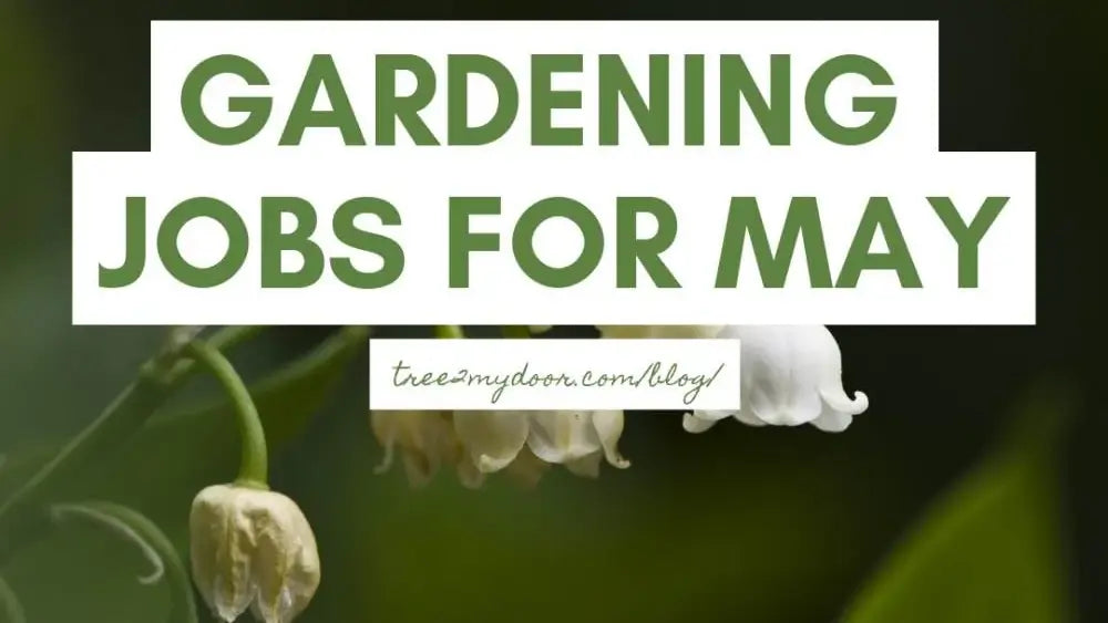 Gardening Jobs for May