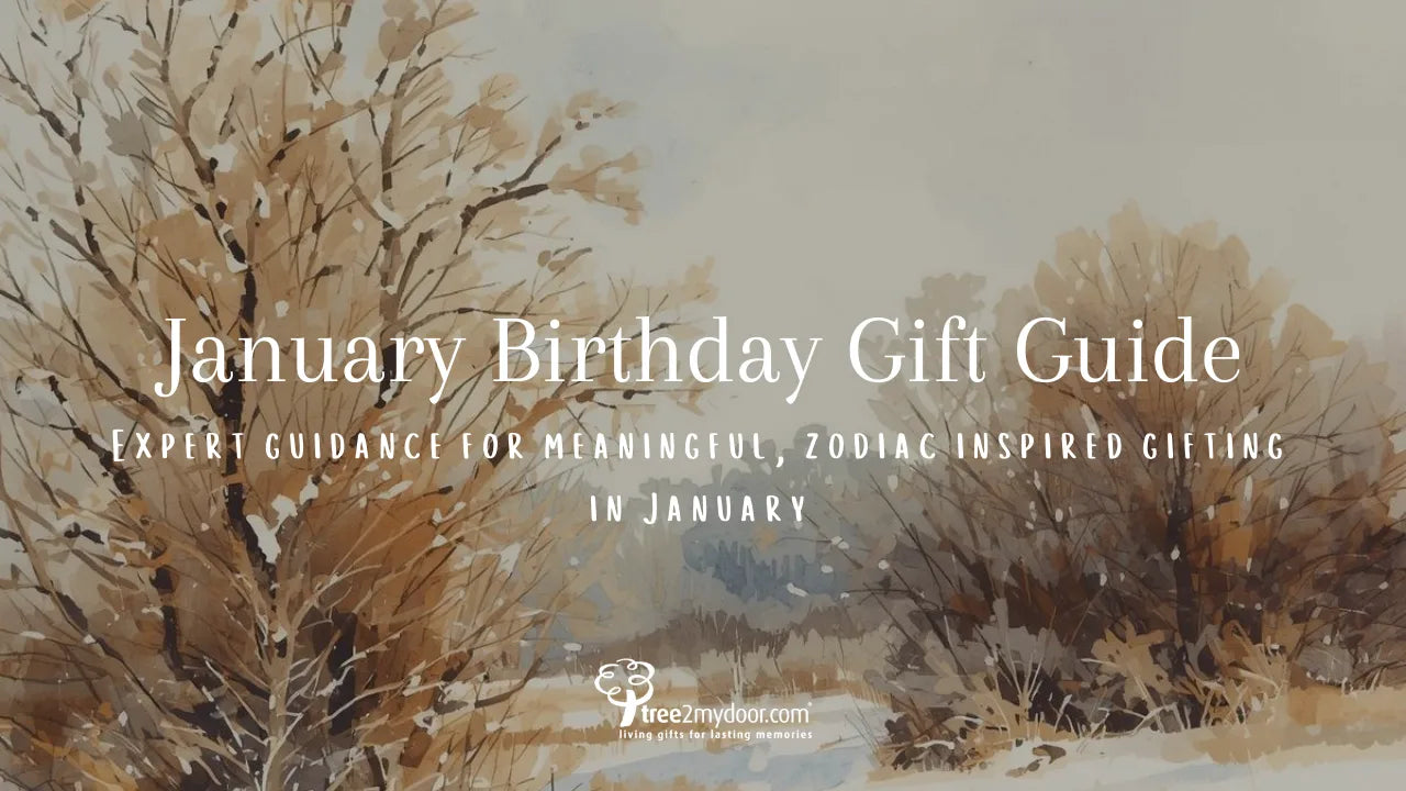 January Birthday Gifts Guide