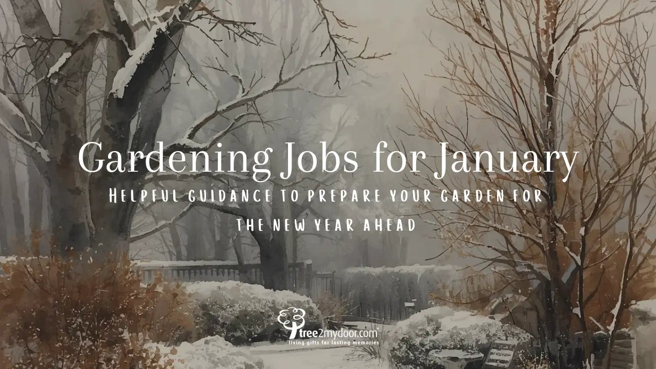 Gardening Jobs for January