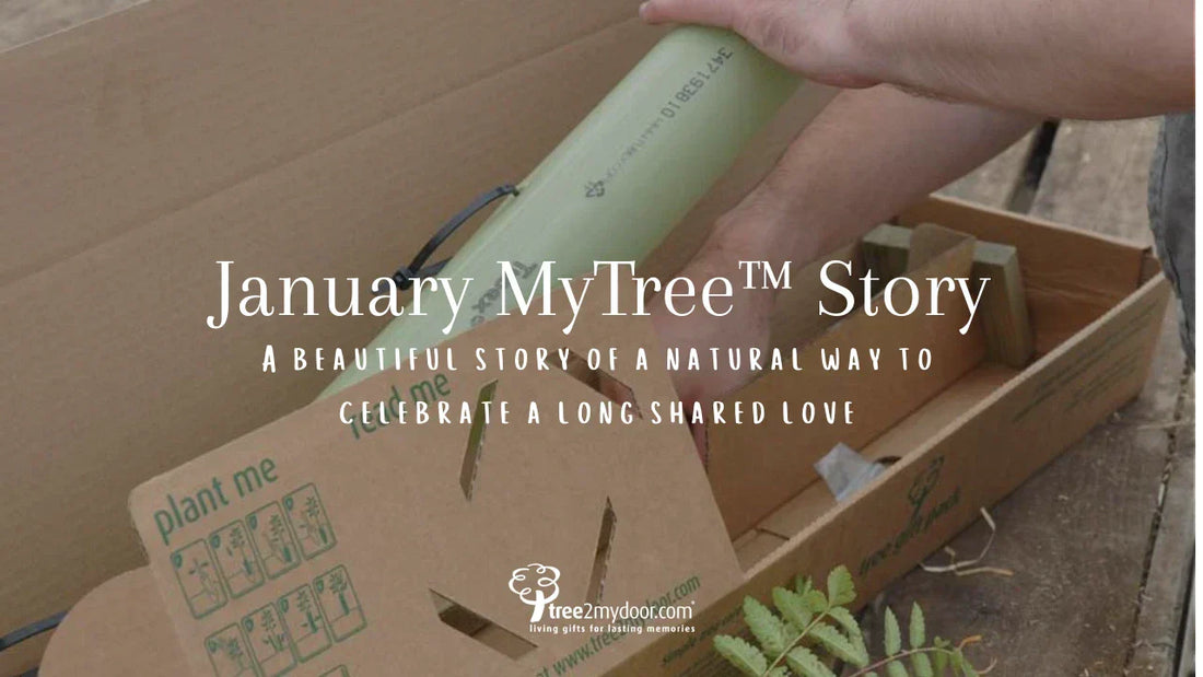 January MyTree™ Story: Our Anniversary Tree Gift Pack