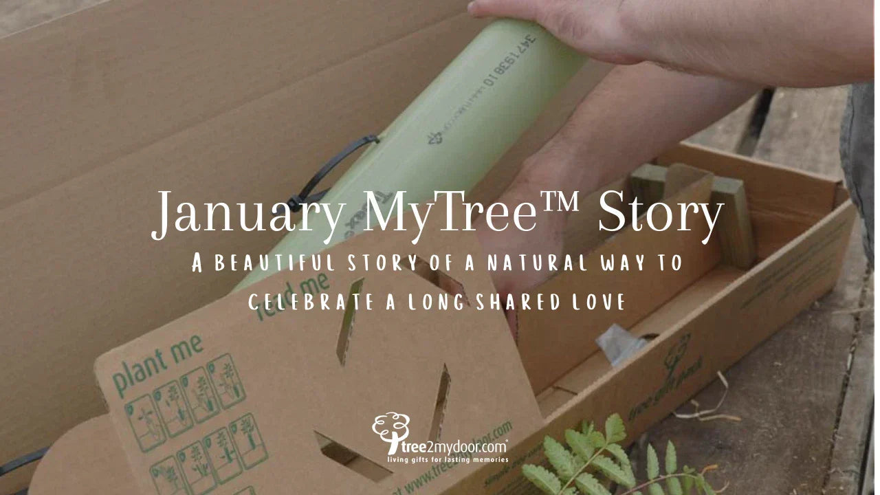 January MyTree™ Story: Our Anniversary Tree Gift Pack