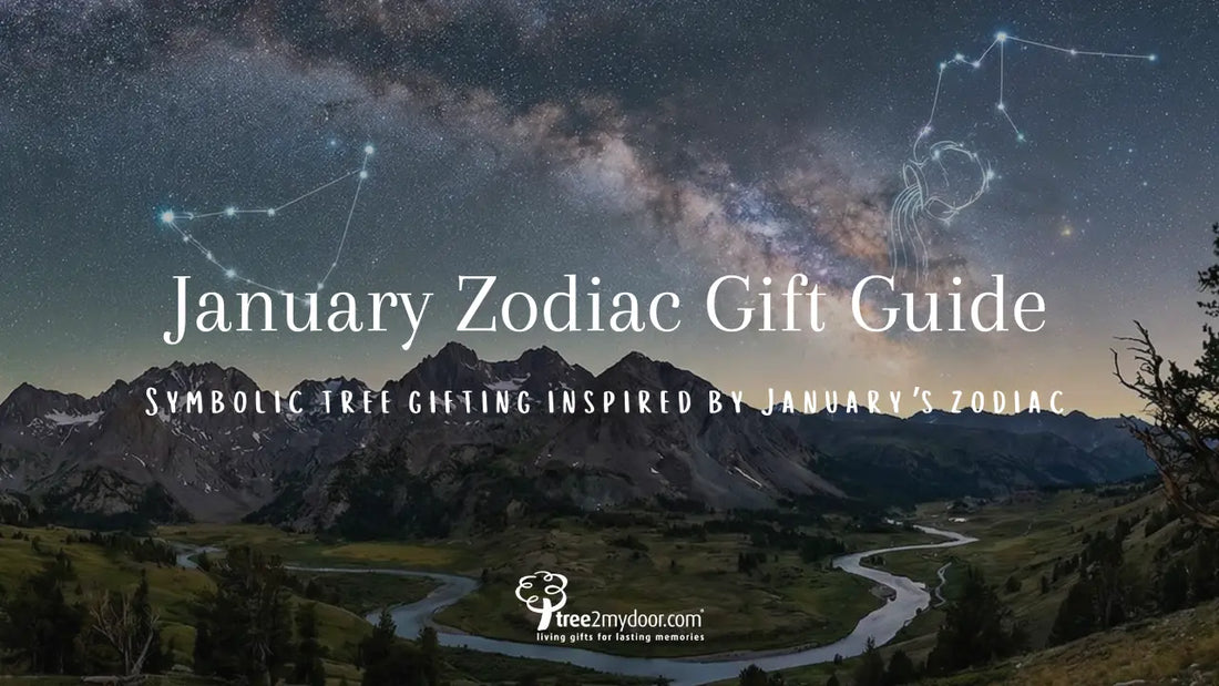 January Zodiac Gift Guide