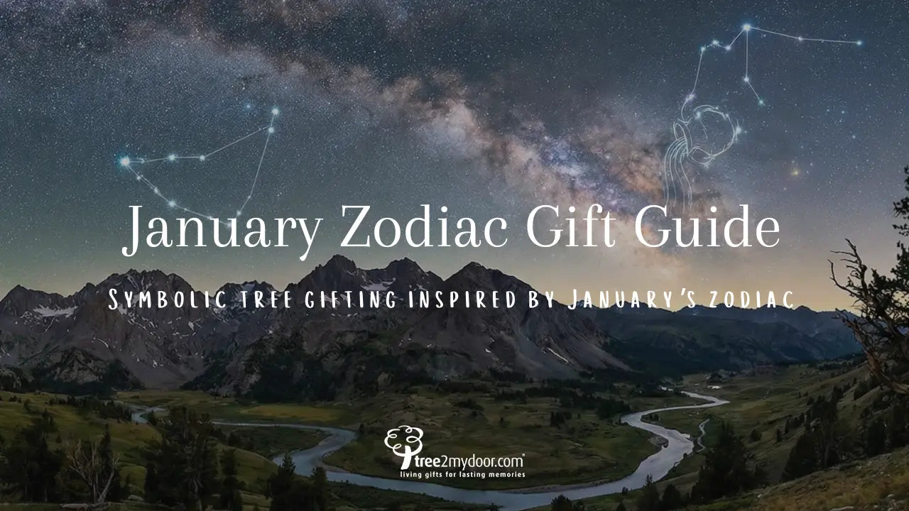 January Zodiac Gift Guide