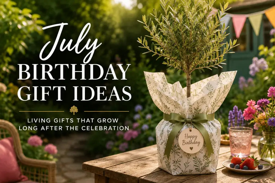 July Birthday Gift Ideas: Living Gifts That Grow Long After the Celebration