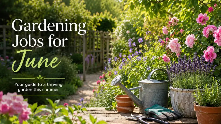 Gardening Jobs for June Mytree blog post