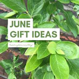 June Birthday Gift Ideas