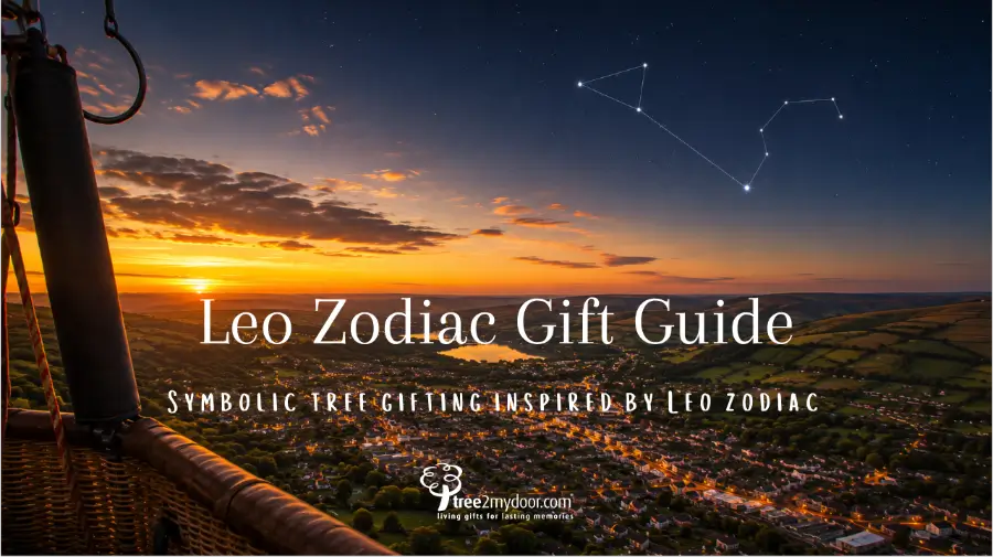 Leo Zodiac Gift Guide