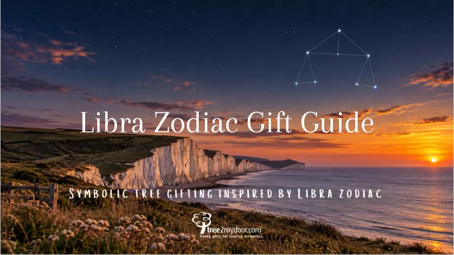 Libra zodiac gift guide - 7 sisters Sussex