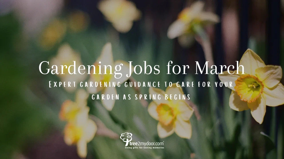Gardening Jobs for March