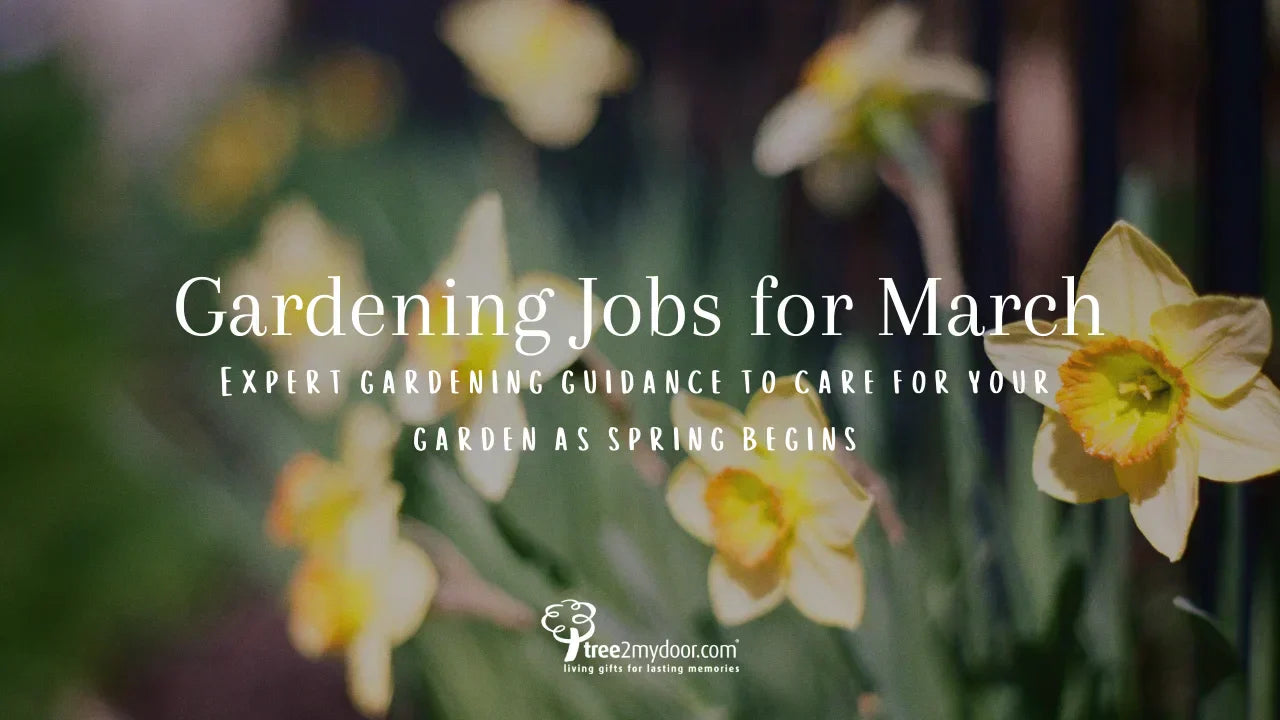Gardening Jobs for March