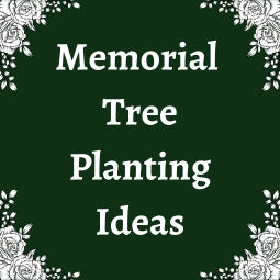 memorial-tree-planting-ideas