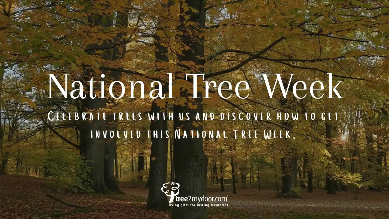 Tree2mydoor celebrating National Tree Week
