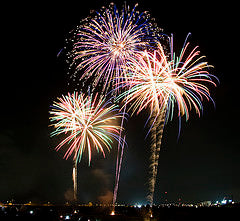 New Year Fireworks Tree2mydoor