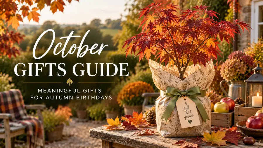 Birthday Gift Ideas for October