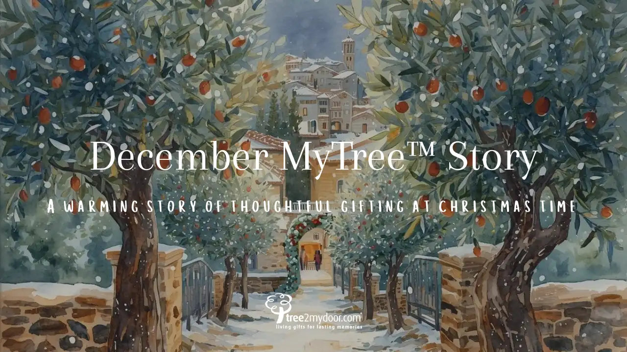 December MyTree Story