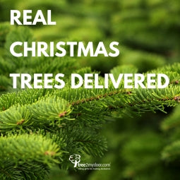 Real Christmas Trees Delivered