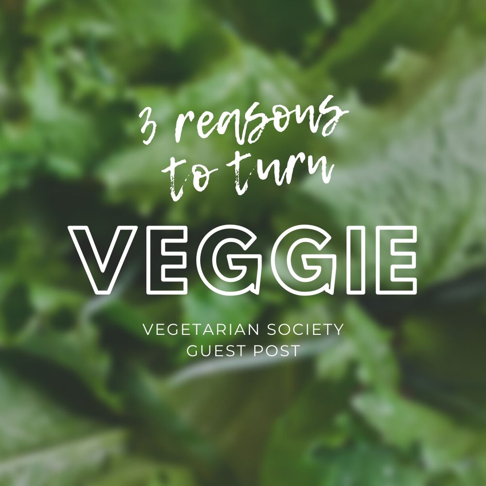 Reasons to Turn Vegetarian