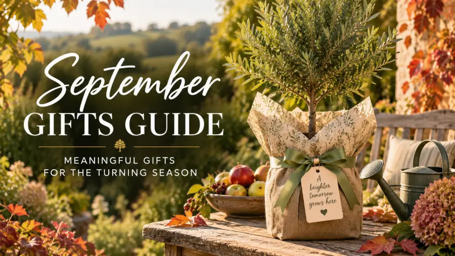 September Gifts Guide blog post